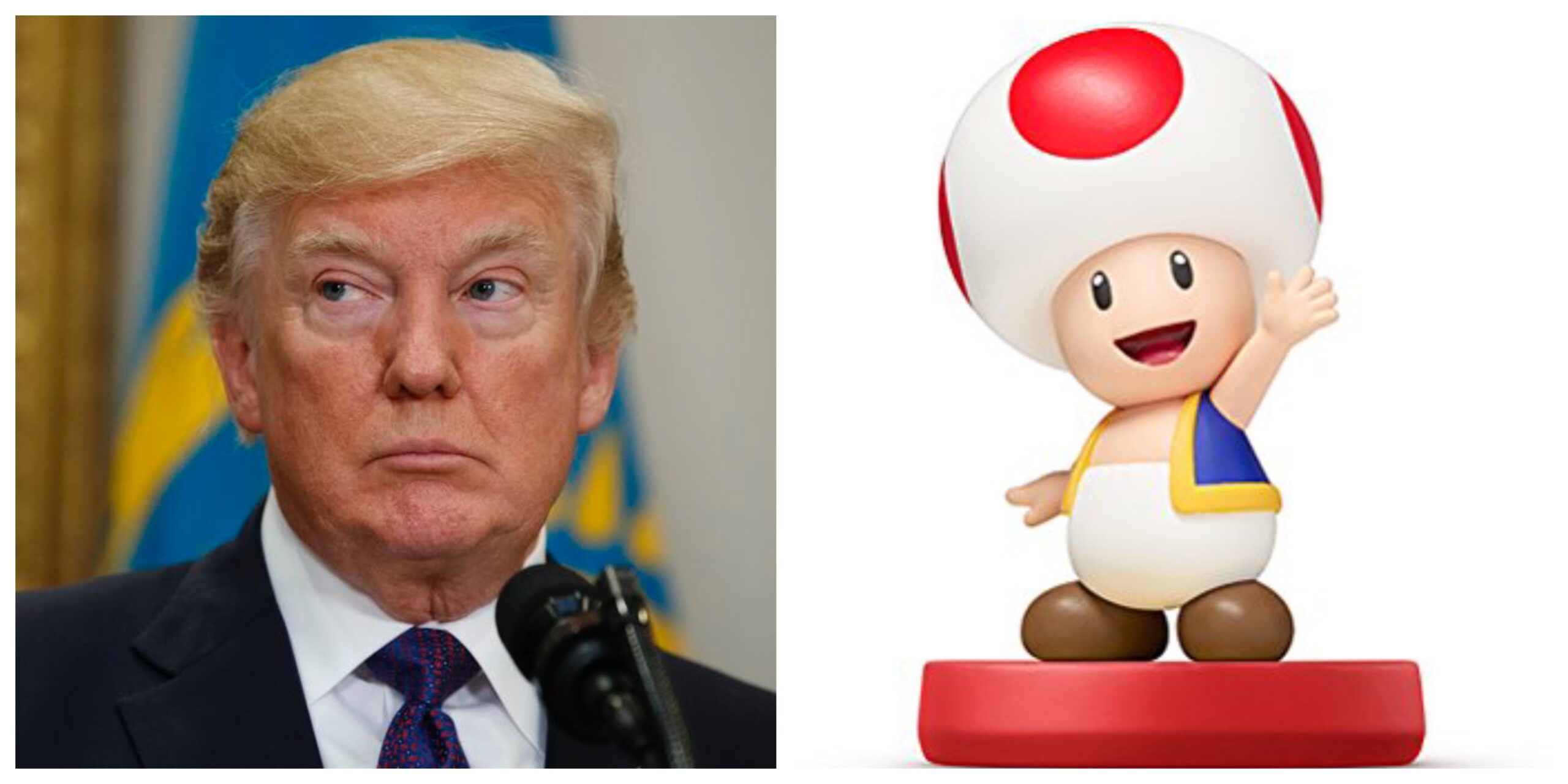 Stormy Daniels Said Donald Trump's Manhood Looks Like Toad From Mario Kart