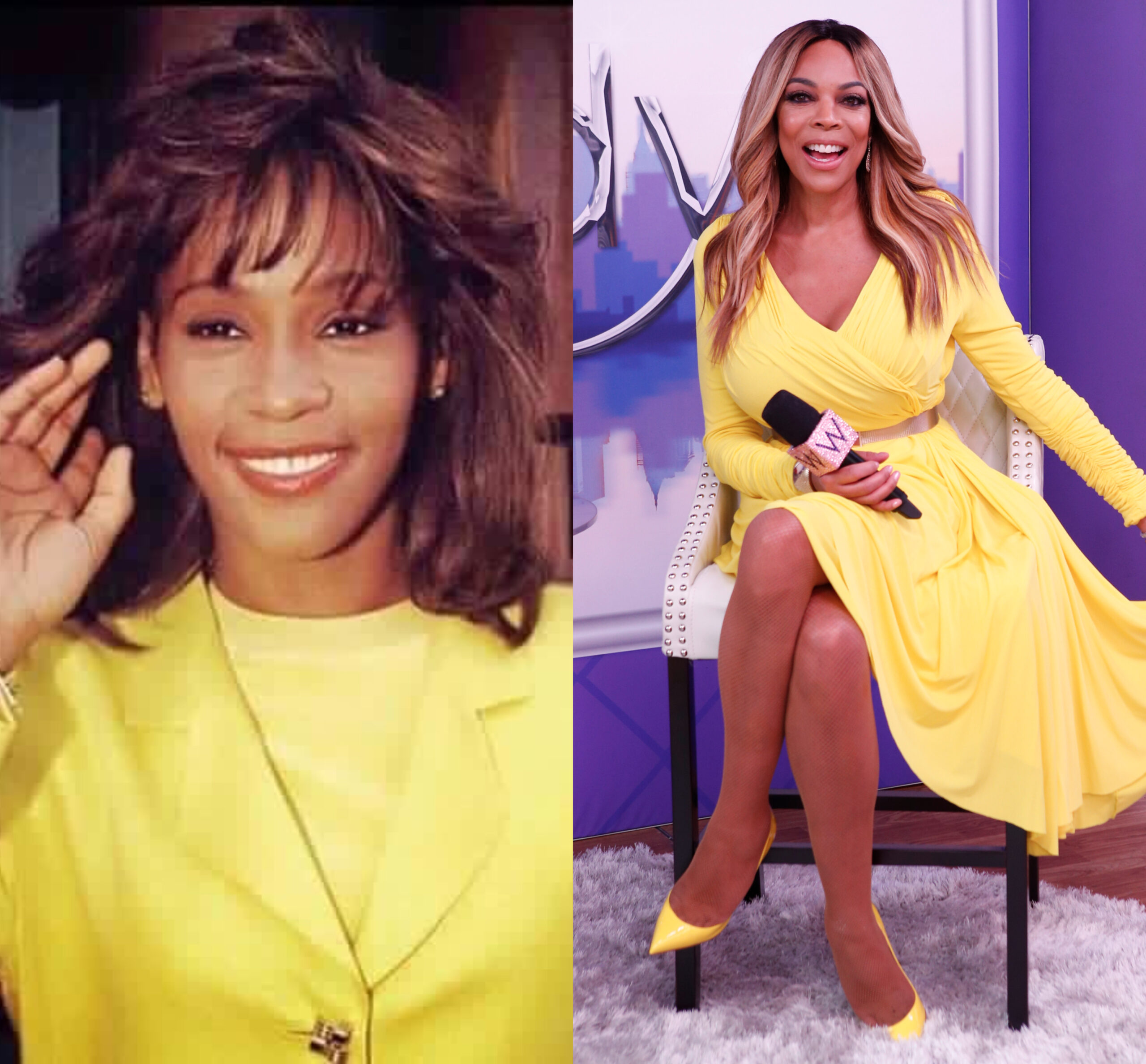 Two Bees Rewind: Whitney Houston Reads Wendy Williams in 2003 Radio Interview