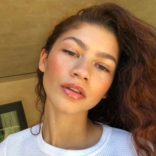 Did Zendaya Come Out As Pansexual?